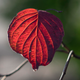 Illustration for article titled 48 Photos Of Autumn Around The World